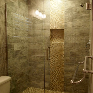 Shower Renovation, Lighting Upgrade, & Frameless Glass Install in Palm Harbor