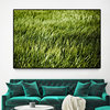 "Grass II" Oversized Framed Canvas, 40" X 60"