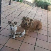 Sylvie Basile's photo