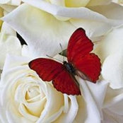 Mariela Gonzalez's photo