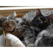 Carole Segal's photo