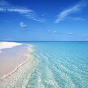Joseph Pisano's photo