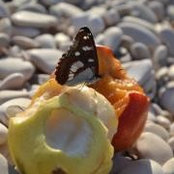 Chris Murabito's photo