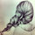 webuser_2331138