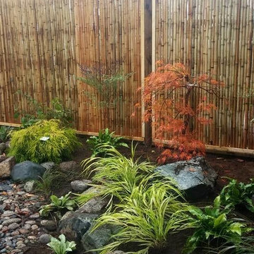 Shade Gardens