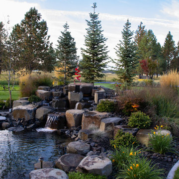 Backyard Lawn Restoration and Pruning