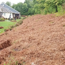 Pine Straw Installation