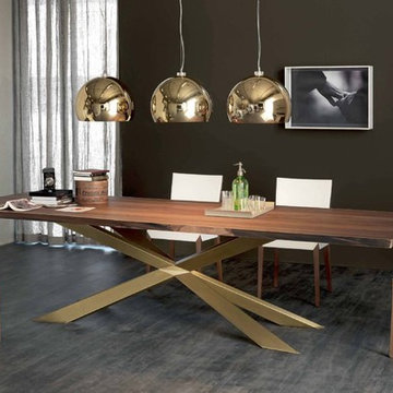 Contemporary Dining Room