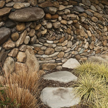 Landscape Ideas