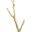 Teak Ghost Clothes Hanger