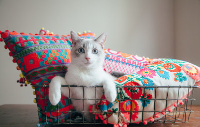 Фотоохота: Домики для кошек своими руками — 40 идей