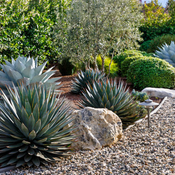 Front Yard Maintenance Renovation