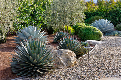 Photo of a landscaping in San Francisco.