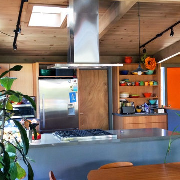 Mid Century Modern Kitchen Remodel