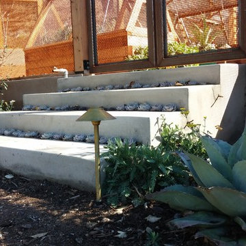 Santa Ynez Ranch