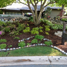 landscaping 2017