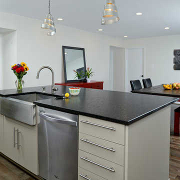 RESTON, VIRGINIA--MODERN/CONTEMPORARY KITCHEN REMODEL