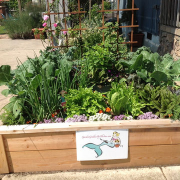 Vegetable & Herb Gardens