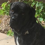 Carol Anderson's photo