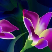 Kimberly Miller's photo