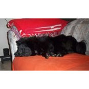 Cheryl Elinsky's photo