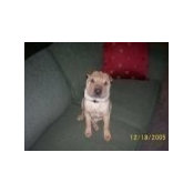 Michael Hogue's photo