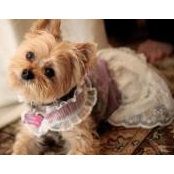 Deborah Gustin's photo