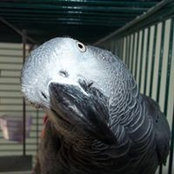 Louann Manning's photo