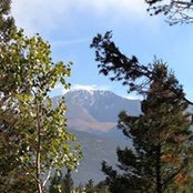Barbara Stotler-Dobbins's photo