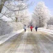 Barb Strong's photo