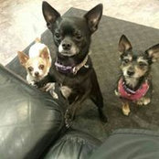 Cindy Jahn's photo