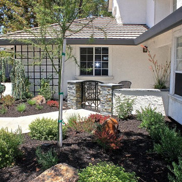 Front Yard New Curb Appeal