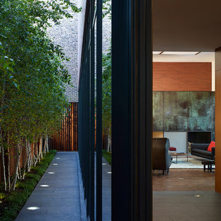 シカゴの大きい片開きドアモダンスタイルのおしゃれな玄関ホール (黒い壁、御影石の床、金属製ドア) の写真