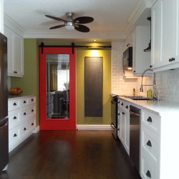 Thorndale Residence - kitchen reno