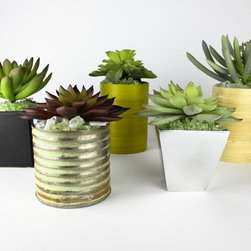 Lumiere Set of 5 - Products