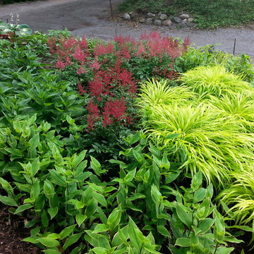 Duneside Shade Garden
