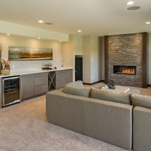 Contemporary Basement Ideas