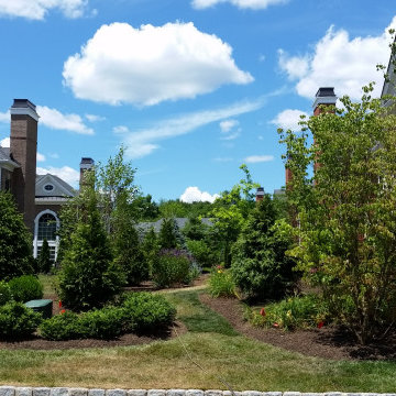 Evergreens in place
