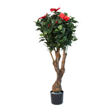 Wish List