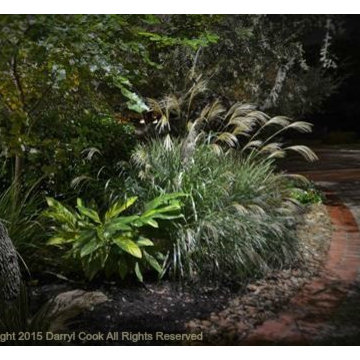 LED Lighting Warm and Cool Tones