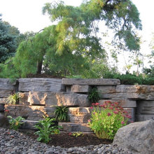 Landscape Ideas