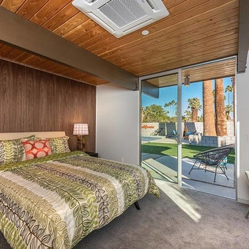 Desert Eichler #2