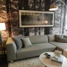 Living Room Ideas
