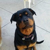 Michelle Madonna's photo