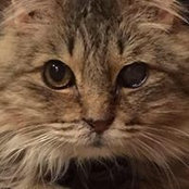 Kimberly Colagioia's photo