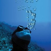 Tony Fowler's photo