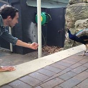Al Prescott-Couch's photo