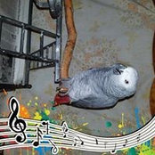 Foto von Renee Ratliff