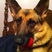 Shea Miller's photo