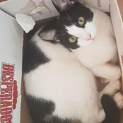 Foto von Ola RS